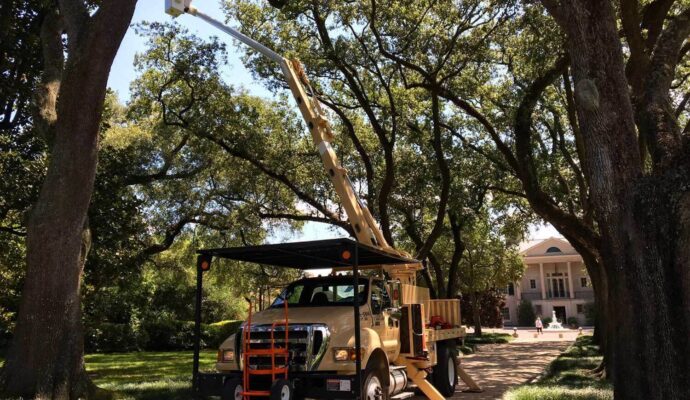 Commercial Tree Services-Delray Beach Tree Trimming and Tree Removal Services-We Offer Tree Trimming Services, Tree Removal, Tree Pruning, Tree Cutting, Residential and Commercial Tree Trimming Services, Storm Damage, Emergency Tree Removal, Land Clearing, Tree Companies, Tree Care Service, Stump Grinding, and we're the Best Tree Trimming Company Near You Guaranteed!