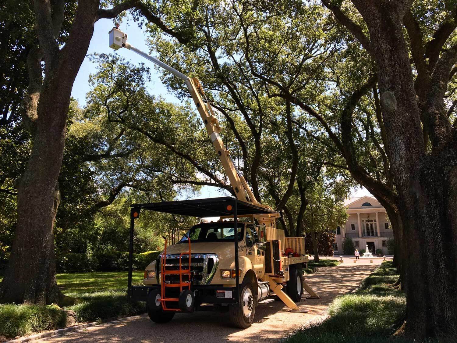 Commercial Tree Services-Delray Beach Tree Trimming and Tree Removal Services-We Offer Tree Trimming Services, Tree Removal, Tree Pruning, Tree Cutting, Residential and Commercial Tree Trimming Services, Storm Damage, Emergency Tree Removal, Land Clearing, Tree Companies, Tree Care Service, Stump Grinding, and we're the Best Tree Trimming Company Near You Guaranteed!
