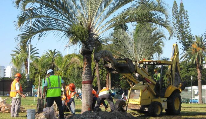 Palm Tree Trimming & Palm Tree Removal-Delray Beach Tree Trimming and Tree Removal Services-We Offer Tree Trimming Services, Tree Removal, Tree Pruning, Tree Cutting, Residential and Commercial Tree Trimming Services, Storm Damage, Emergency Tree Removal, Land Clearing, Tree Companies, Tree Care Service, Stump Grinding, and we're the Best Tree Trimming Company Near You Guaranteed!