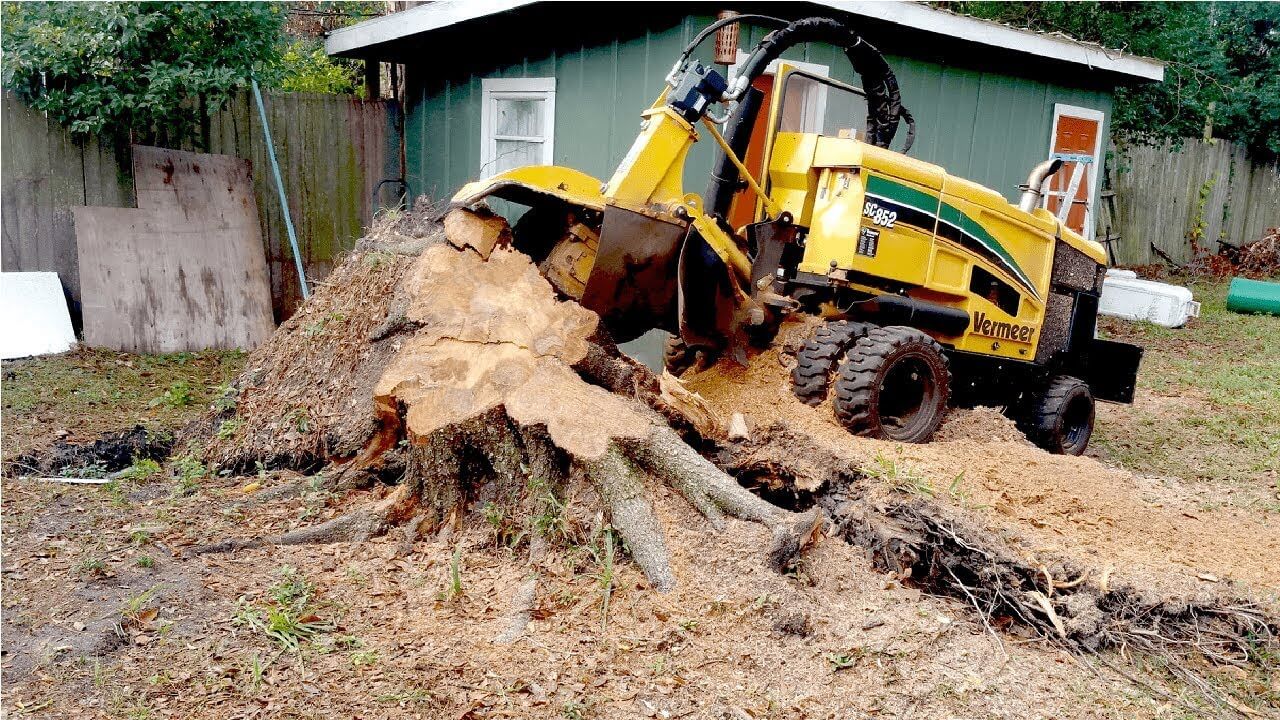 Stump Grinding-Delray Beach Tree Trimming and Tree Removal Services-We Offer Tree Trimming Services, Tree Removal, Tree Pruning, Tree Cutting, Residential and Commercial Tree Trimming Services, Storm Damage, Emergency Tree Removal, Land Clearing, Tree Companies, Tree Care Service, Stump Grinding, and we're the Best Tree Trimming Company Near You Guaranteed!