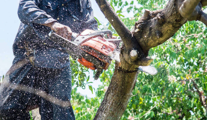 Tree Trimming Services-Delray Beach Tree Trimming and Tree Removal Services-We Offer Tree Trimming Services, Tree Removal, Tree Pruning, Tree Cutting, Residential and Commercial Tree Trimming Services, Storm Damage, Emergency Tree Removal, Land Clearing, Tree Companies, Tree Care Service, Stump Grinding, and we're the Best Tree Trimming Company Near You Guaranteed!