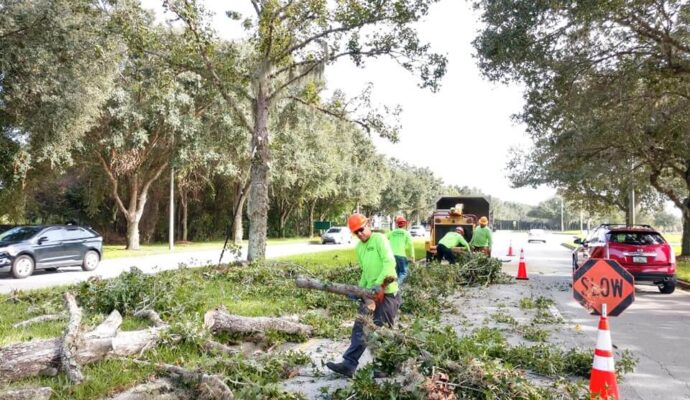 Commercial Tree Services Affordable-Pro Tree Trimming & Removal Team of Delray Beach