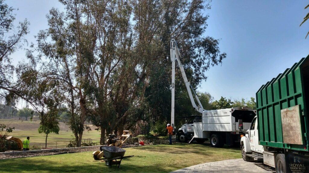 Commercial Tree Services Delray Beach-Pro Tree Trimming & Removal Team of Delray Beach