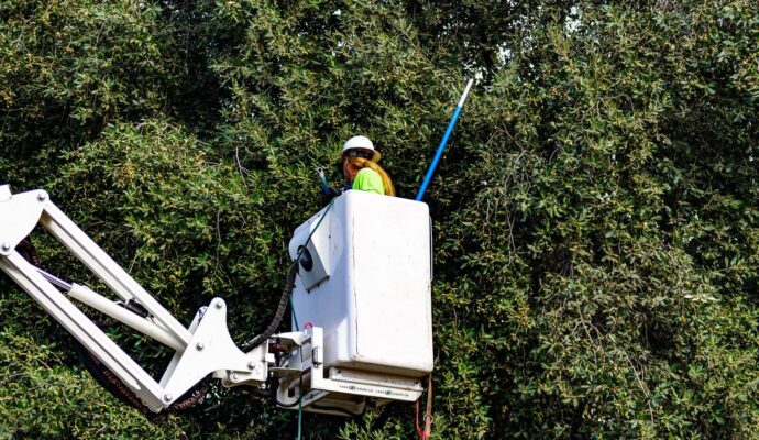 Commercial-Tree-Services-Services Pro-Tree-Trimming-Removal-Team-of-Delray Beach