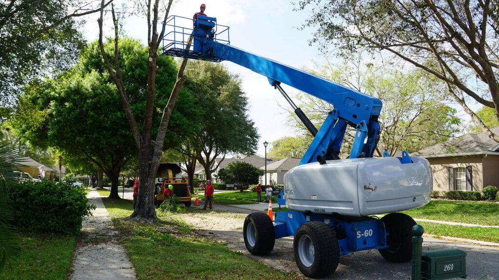 Delray Beach Residential Tree Services-Pro Tree Trimming & Removal Team of Delray Beach