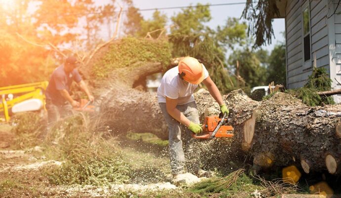 Emergency Tree Removal Delray Beach-Pro Tree Trimming & Removal Team of Delray Beach