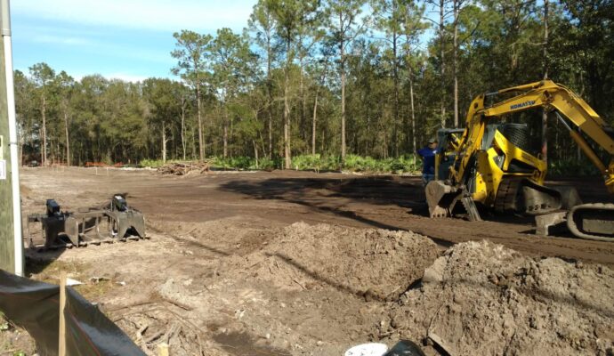 Land Clearing Affordable-Pro Tree Trimming & Removal Team of Delray Beach