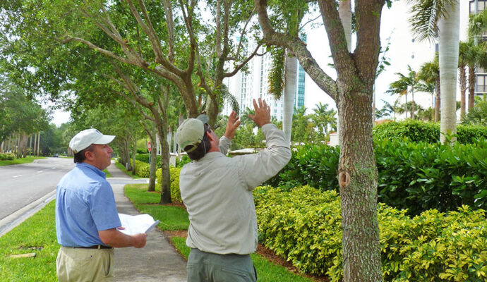 Arborist Consultations-Pros-Pro Tree Trimming & Removal Team of Delray Beach