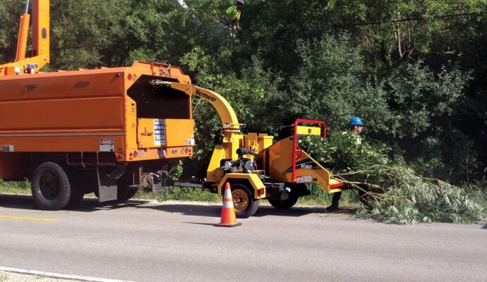 Commercial Tree Services-Pros-Pro Tree Trimming & Removal Team of Delray Beach