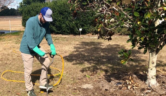 Deep Root Injection Experts-Pro Tree Trimming & Removal Team of Delray Beach