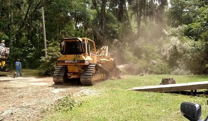 Land Clearing Experts-Pro Tree Trimming & Removal Team of Delray Beach