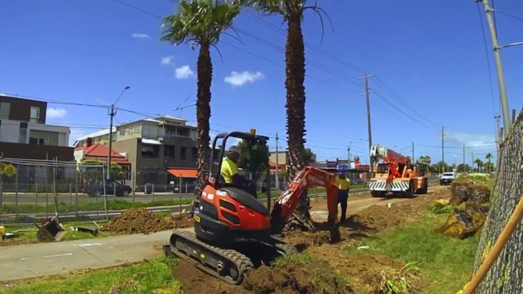 Palm Tree Removal-Pros-Pro Tree Trimming & Removal Team of Delray Beach