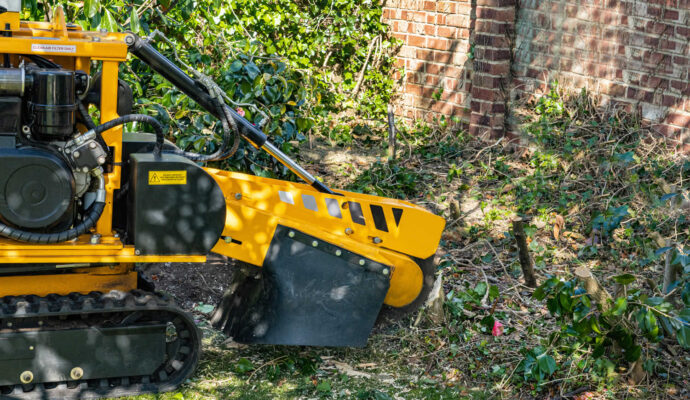 Stump Grinding-Pros-Pro Tree Trimming & Removal Team of Delray Beach