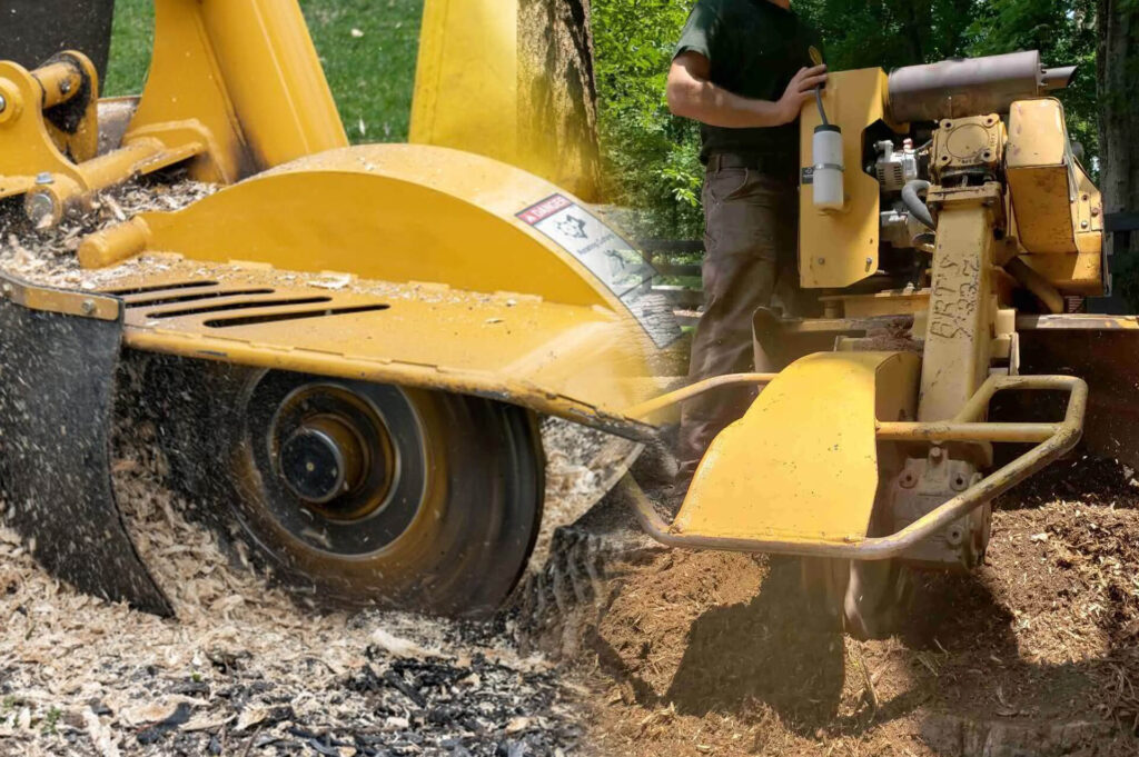 Stump Grinding & Removal Experts-Pro Tree Trimming & Removal Team of Delray Beach